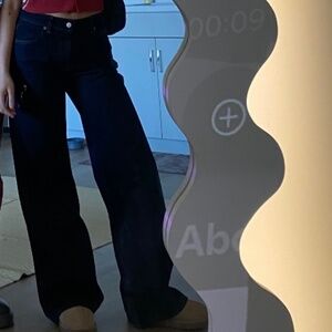 Reformation Cary Low Rise Slouchy Wide Leg Jeans Ondine - Size 27